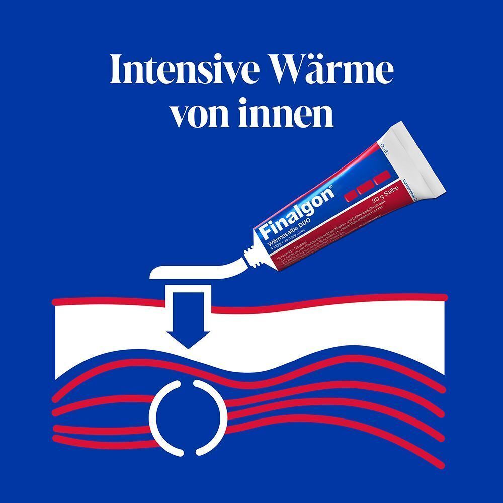 Schema: Finalgon Wärmesalbe DUO dringt tief in die Haut und Muskulatur ein.