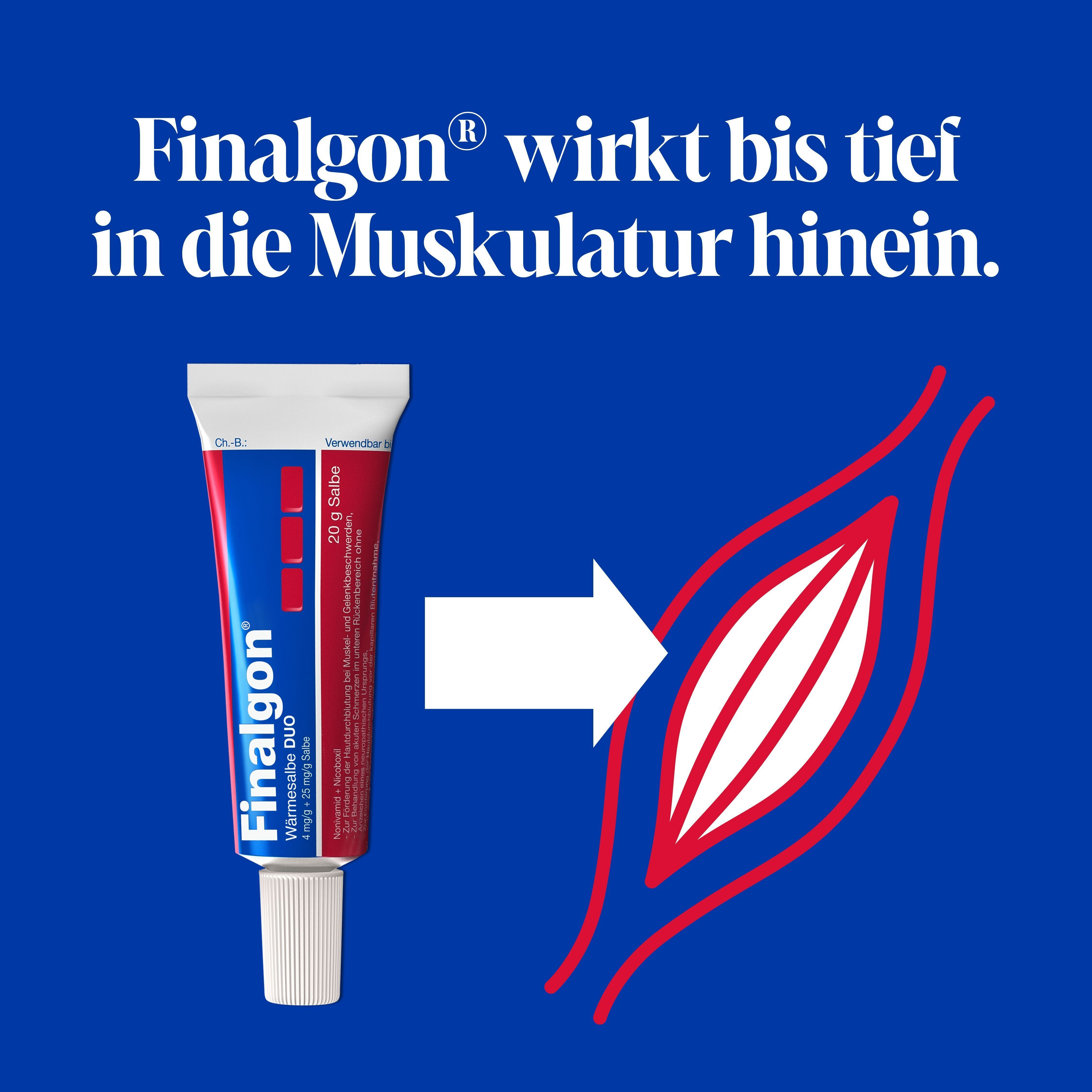 Tube Finalgon Wärmesalbe DUO und Schema einer Muskelfaser.