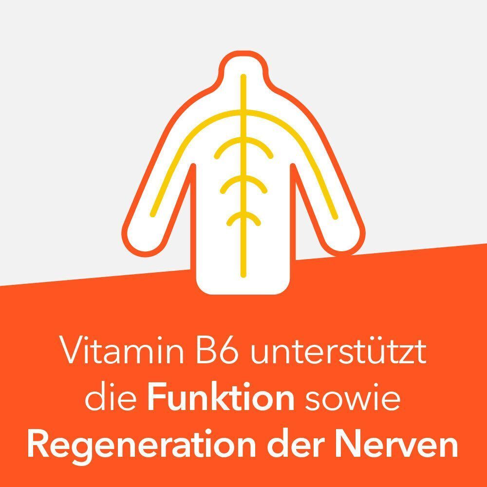 Grafik eines menschlichen Nervensystems. Text: Vitamin B6 unterstützt die Funktion sowie Regeneration der Nerven.