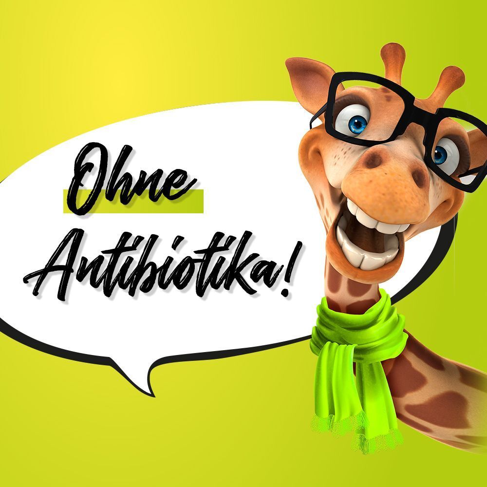 Eine fröhliche Giraffe mit Brille und Schal sagt: 'Ohne Antibiotika!'