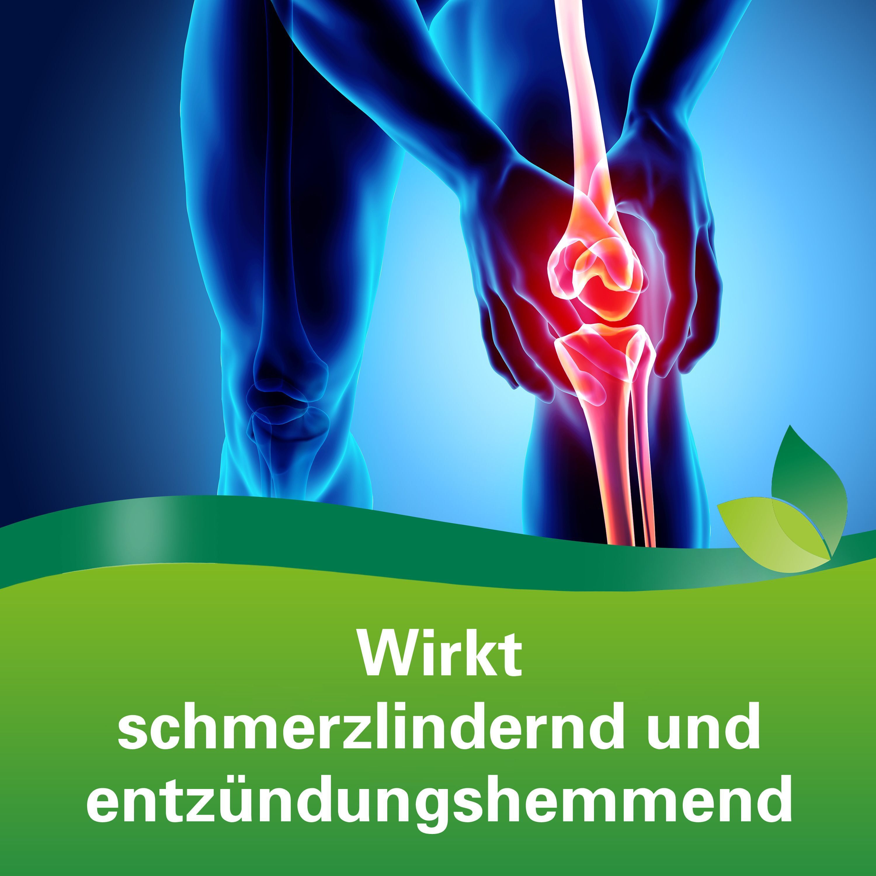 Grafik eines Mannes mit schmerzendem Knie. Wirkt schmerzlindernd und entzündungshemmend.