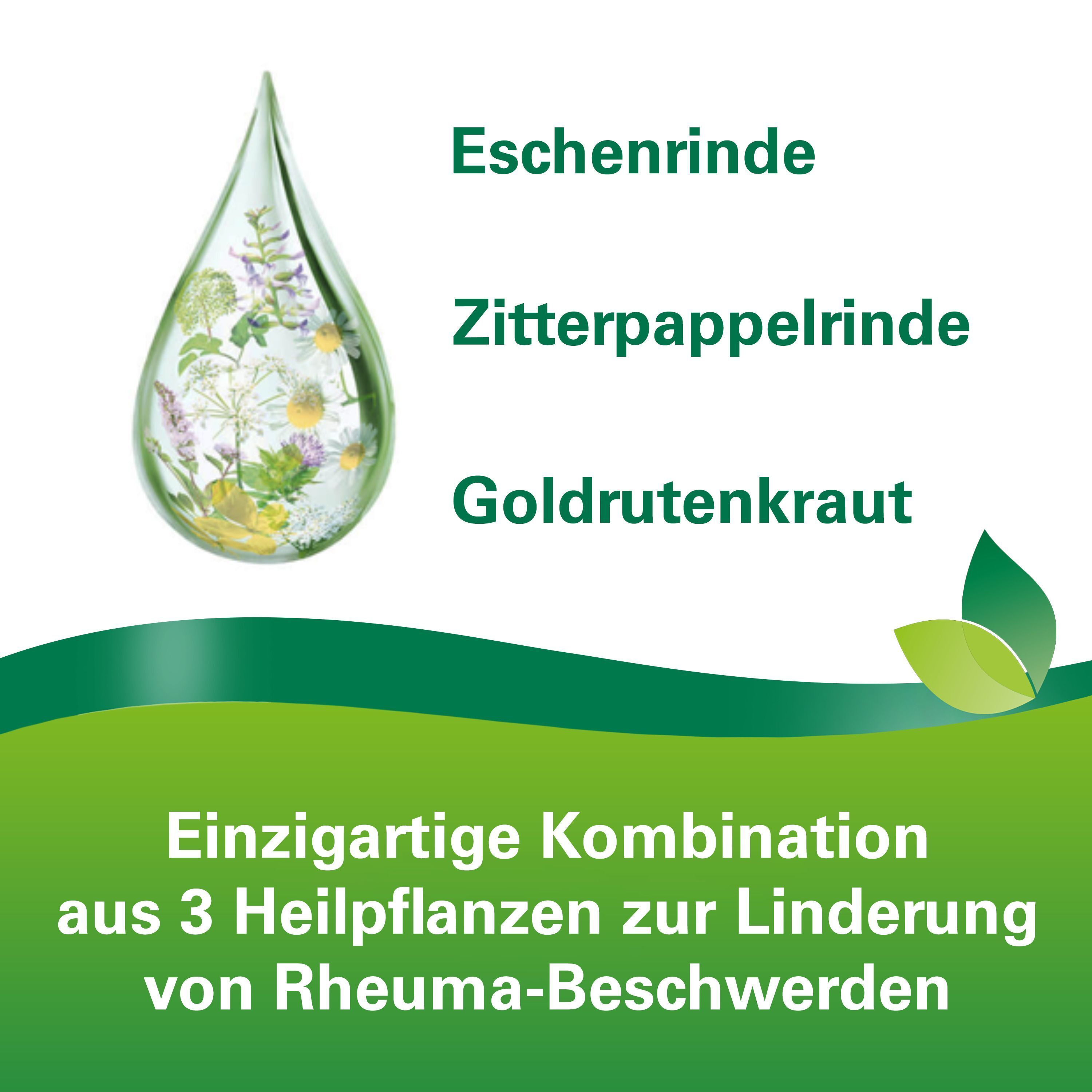 Tropfen mit Heilpflanzen. Enthält Eschenrinde, Zitterpappelrinde, Goldrutenkraut. Einzigartige Kombination zur Linderung von Rheuma-Beschwerden.