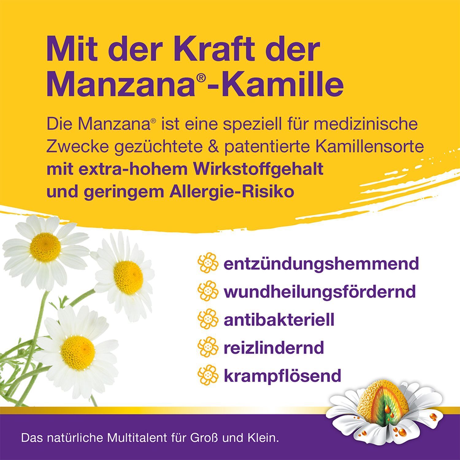 Rückseite der Kamillosan Konzentrat Verpackung mit Informationen über Manzana-Kamille und Anwendungsbereiche.