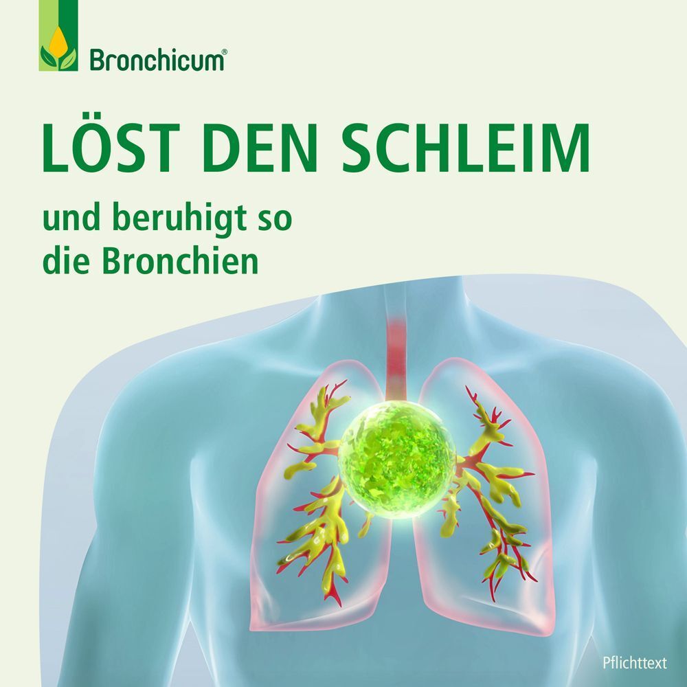 Bronchicum löst den Schleim und beruhigt die Bronchien, mit Lungen-Grafik.