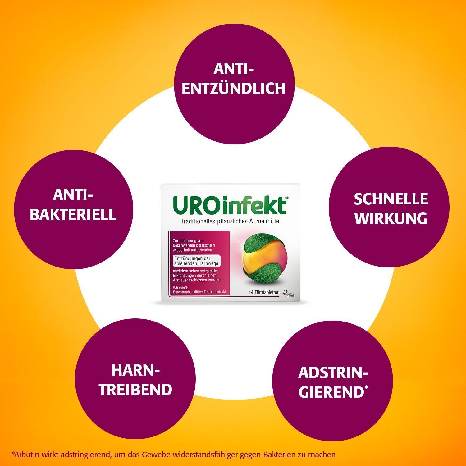 UROinfekt® Packung umgeben von Kreisen: Anti-entzündlich, Anti-bakteriell, Harn-treibend, Adstringierend, Schnelle Wirkung.