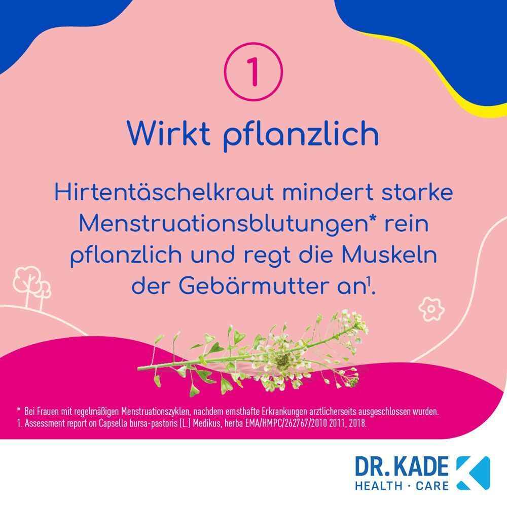 KadeZyklus: Hirtentäschelkraut zur Reduzierung starker Menstruationsblutungen.