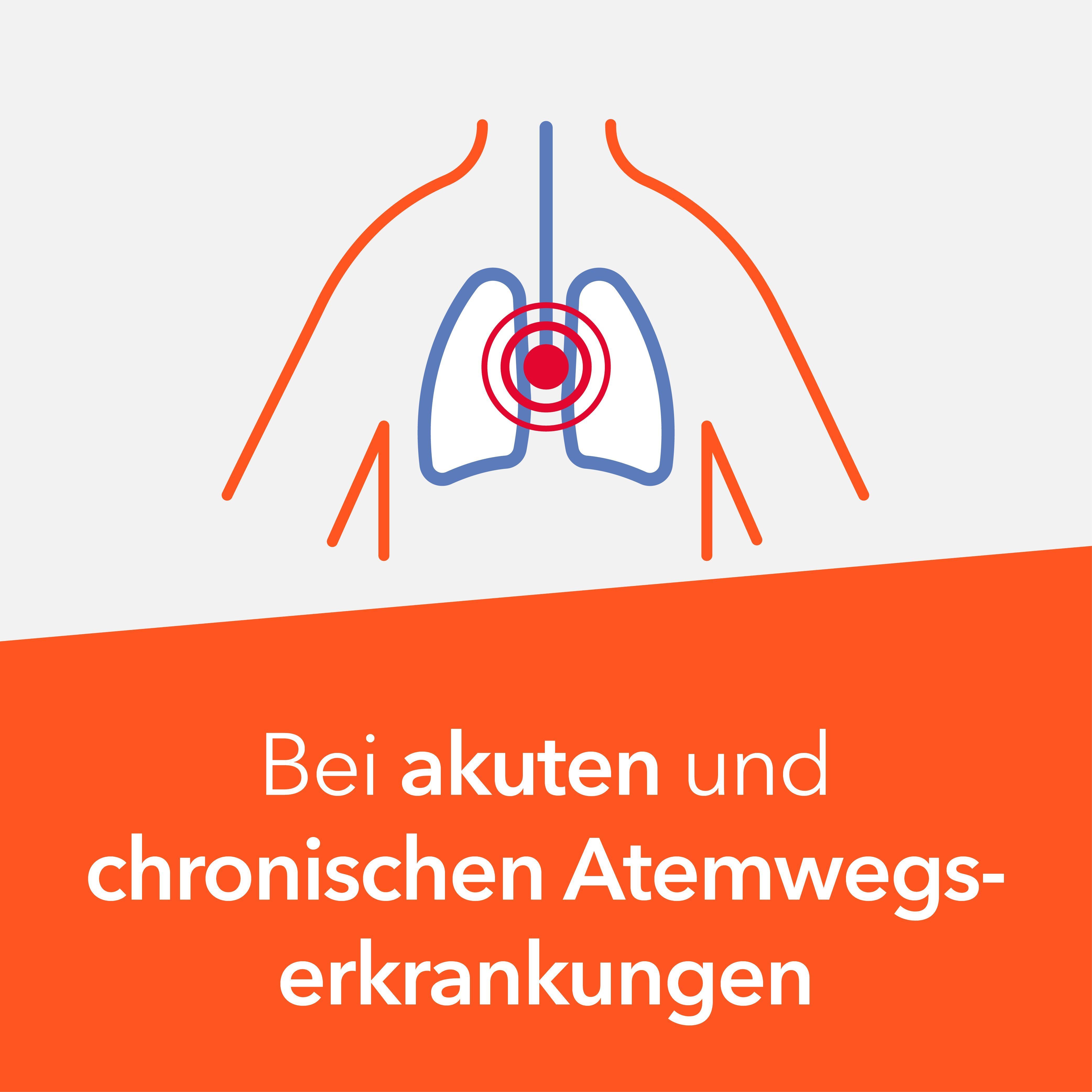 Symbol: Lunge mit rotem Zentrum, für Atemwegserkrankungen.