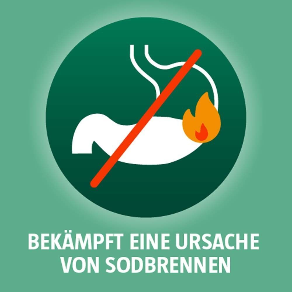 Symbol: Magen mit durchgestrichenem Feuer, bekämpft eine Ursache von Sodbrennen.