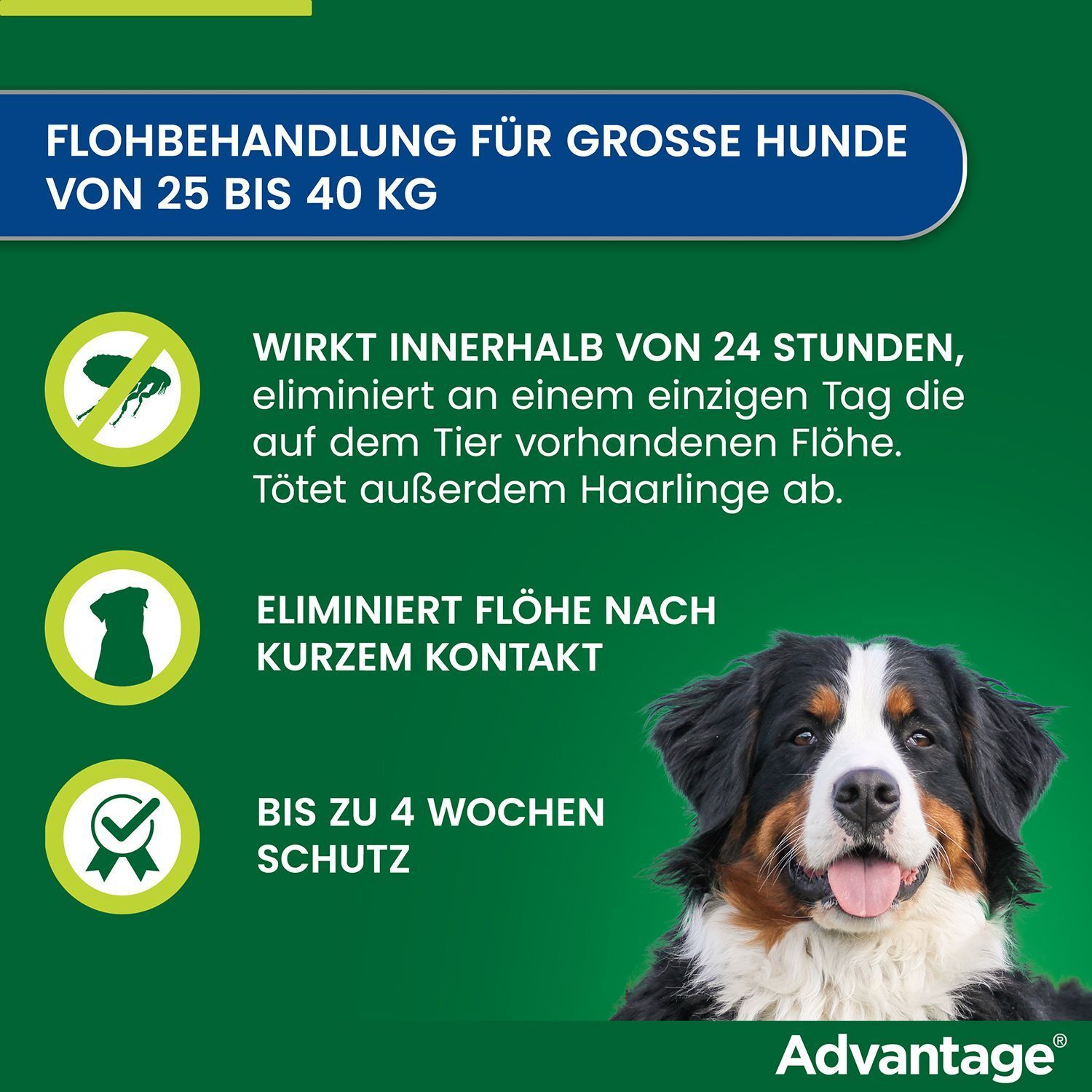 Text mit Illustrationen. Wirkt innerhalb 24 Stunden, tötet Haarlinge ab. Schutz bis zu 4 Wochen. Hund.