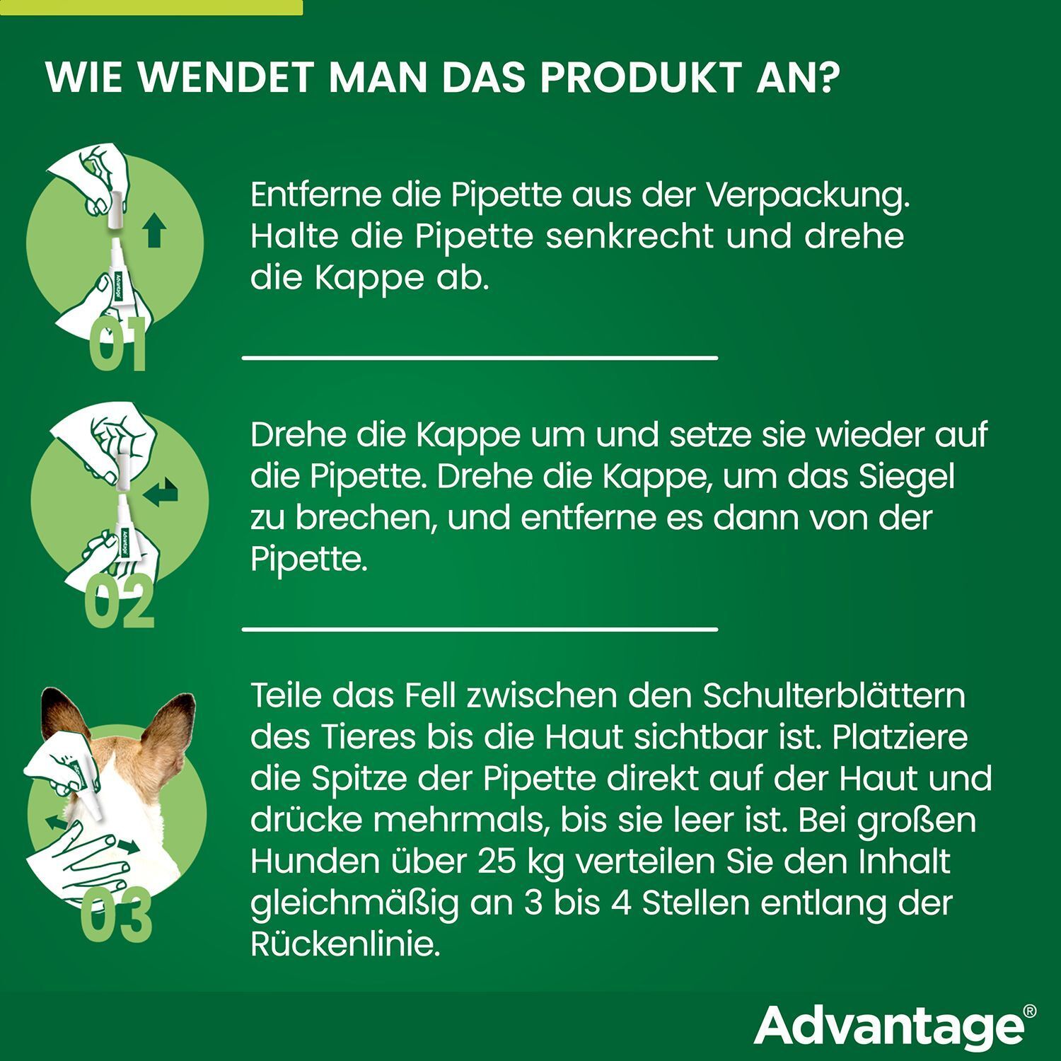 Anleitung zur Anwendung. Schritte 1-3. Illustrationen zeigen, wie man die Pipette öffnet und aufträgt.