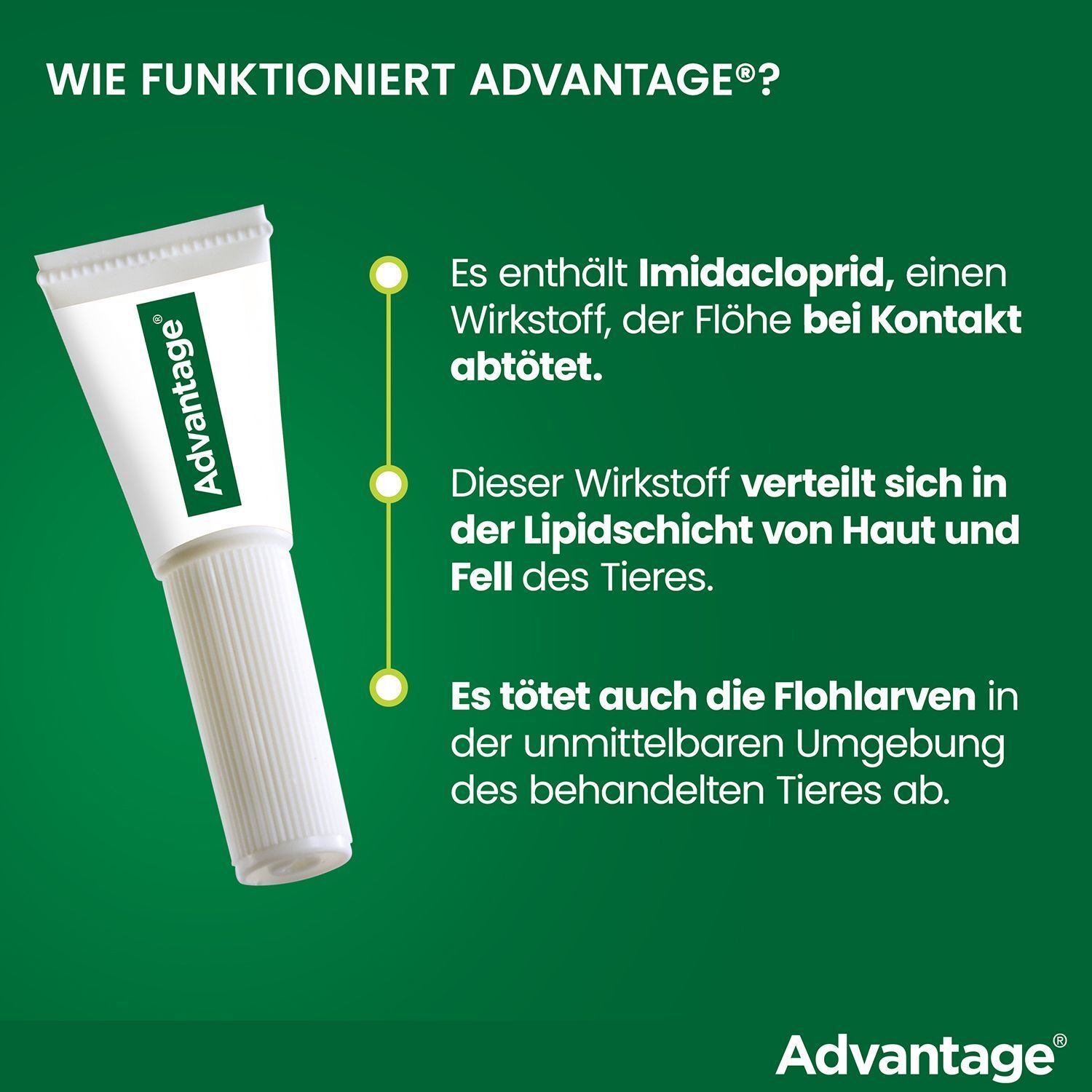 Wie Advantage funktioniert. Enthält Imidacloprid. Tötet Flöhe bei Kontakt. Verteilung in der Lipidschicht.