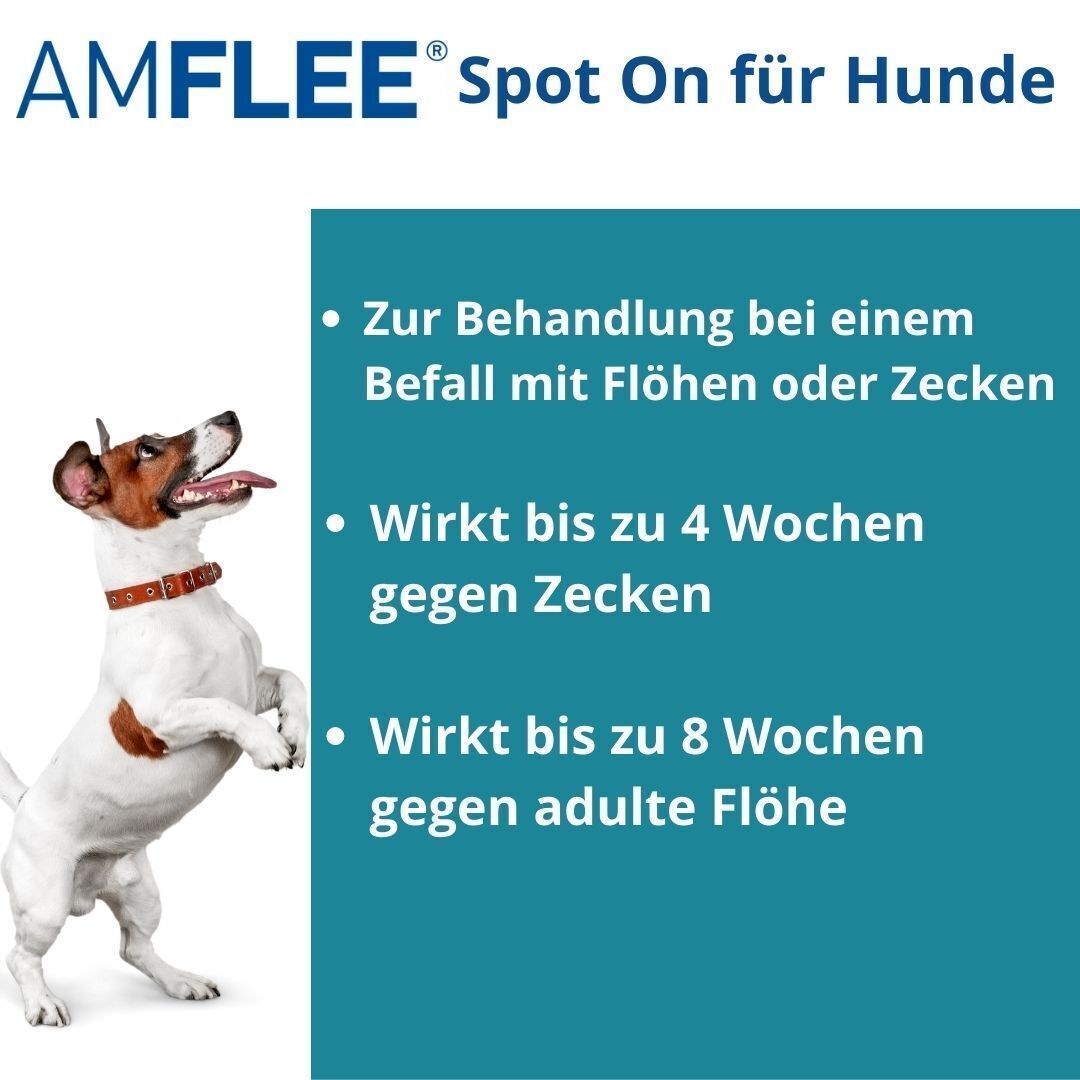 Infografik mit Text: Amflee® Spot On für Hunde. Auflistung von Vorteilen: gegen Flöhe und Zecken, bis zu 4 Wochen gegen Zecken, bis zu 8 Wochen gegen Flöhe.