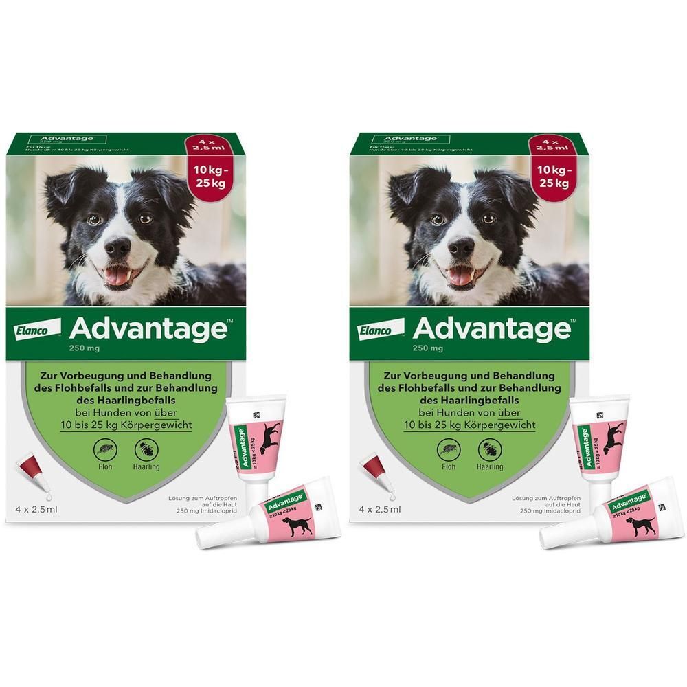 Advantage 250 Lösung f.Hunde 10-25 kg 2x 2x4 St