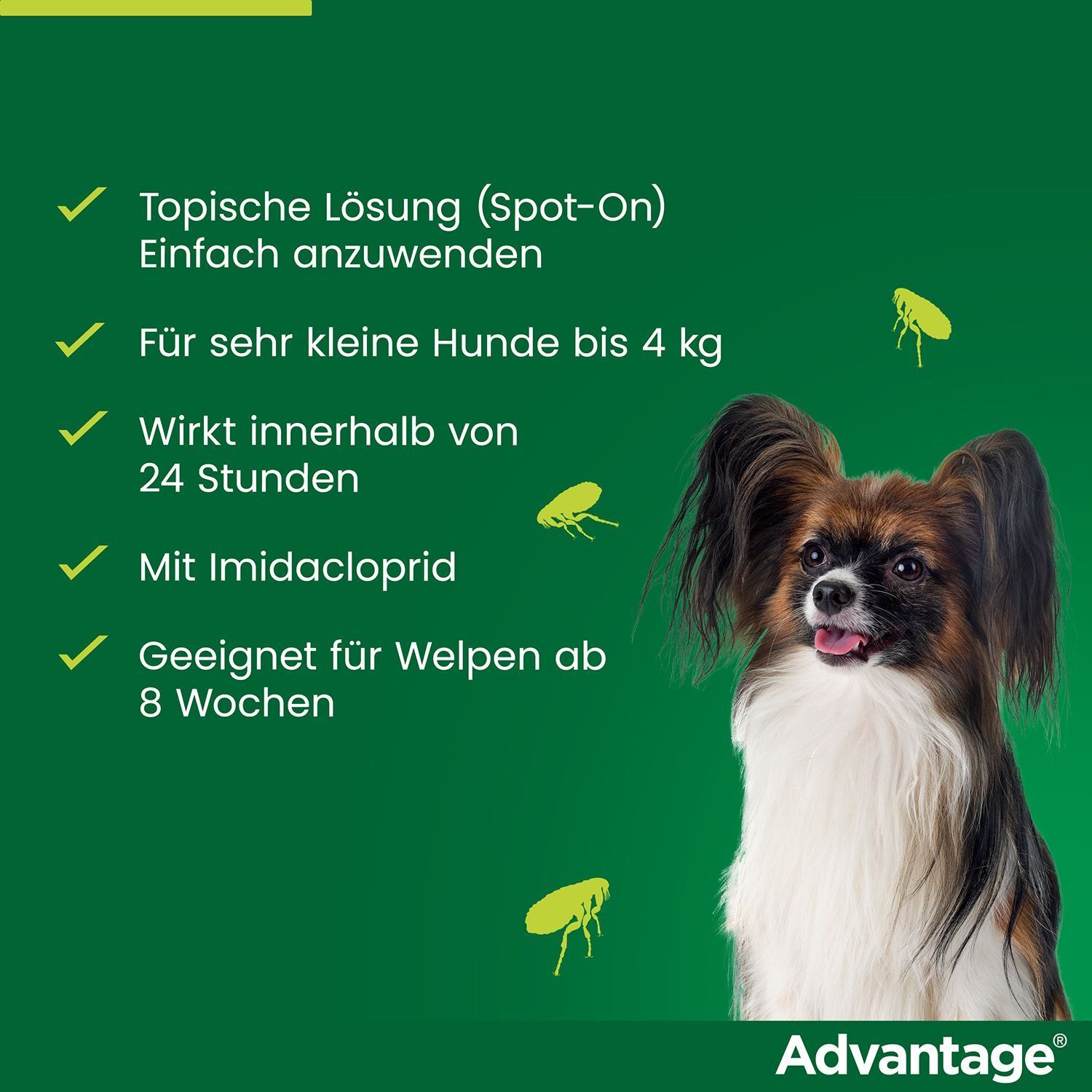 Hund vor grünem Hintergrund. Text: Topische Lösung, für sehr kleine Hunde bis 4 kg, wirkt innerhalb 24 Stunden. Vorteil Logo.