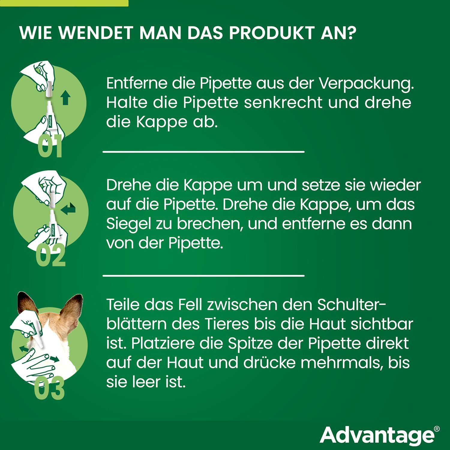 Anleitung zur Anwendung des Produkts. 3 Schritte. Vorteil Logo.