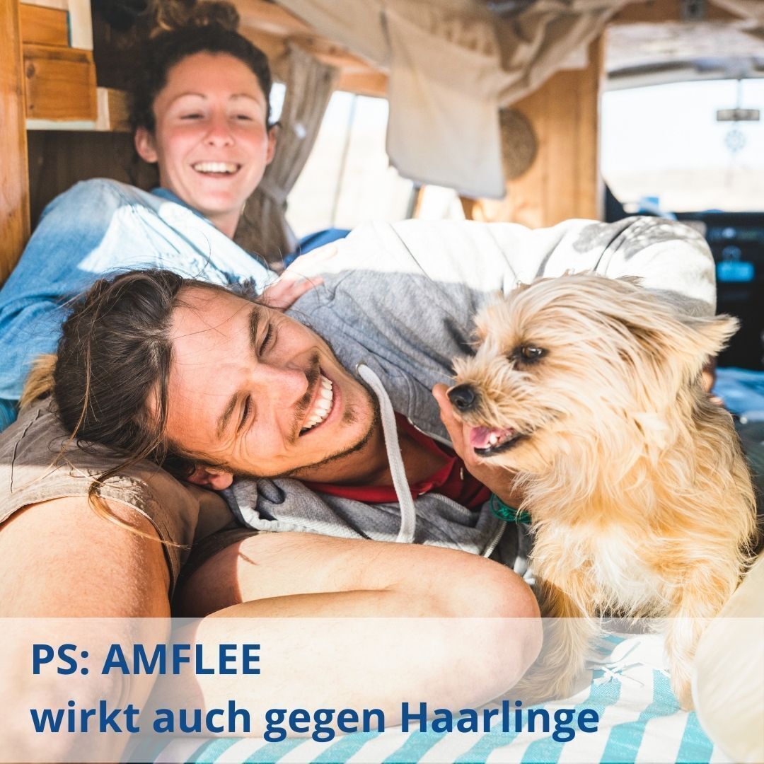 Personen mit Hund in einem Wohnmobil. Text: PS: Amflee wirkt auch gegen Haarlinge.