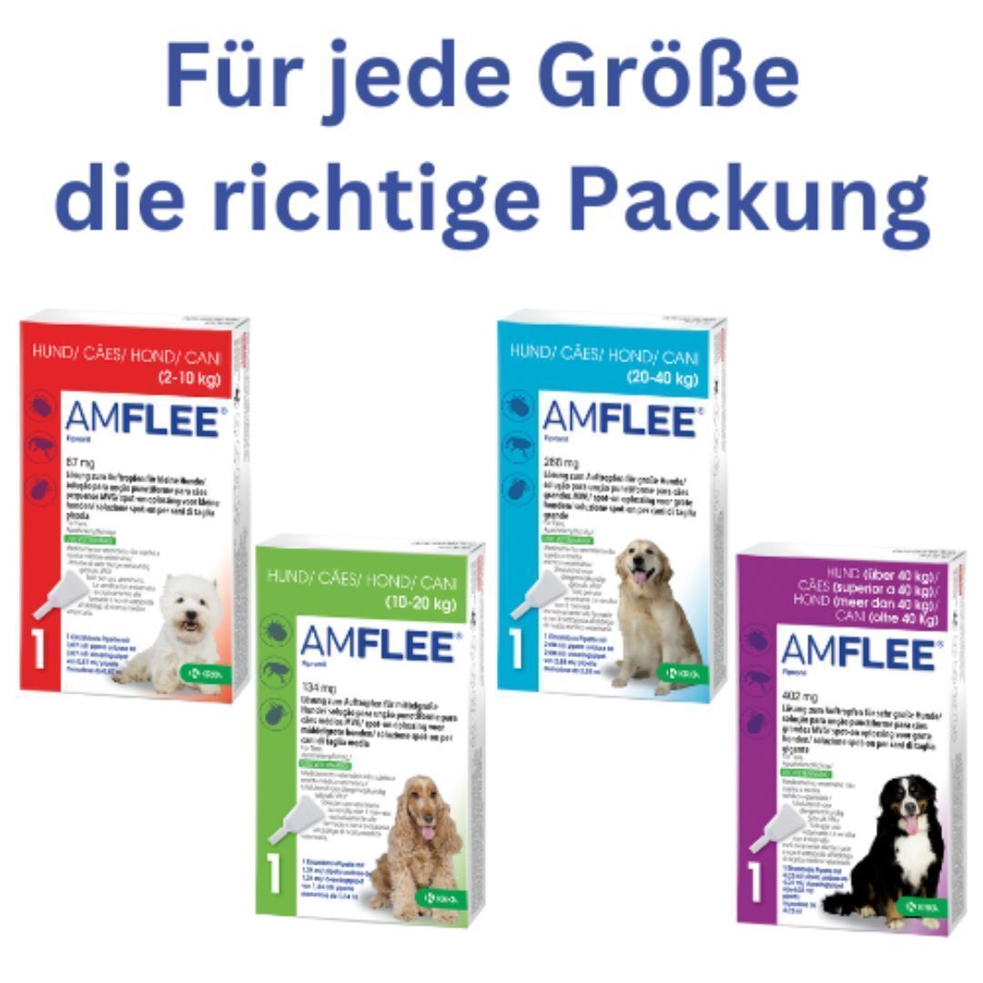 Verschiedene Amflee®-Packungen für Hunde. Unterschiedliche Größen und Farben. Abbildungen von Hunden.