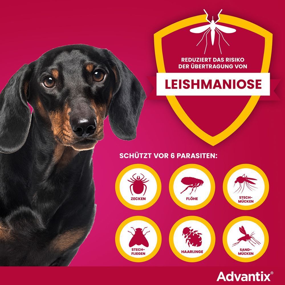 Infografik: Schützt vor 6 Parasiten: Zecken, Flöhe, Stechmücken, Stichfliegen, Haarlinge, Sandmücken. Hund.