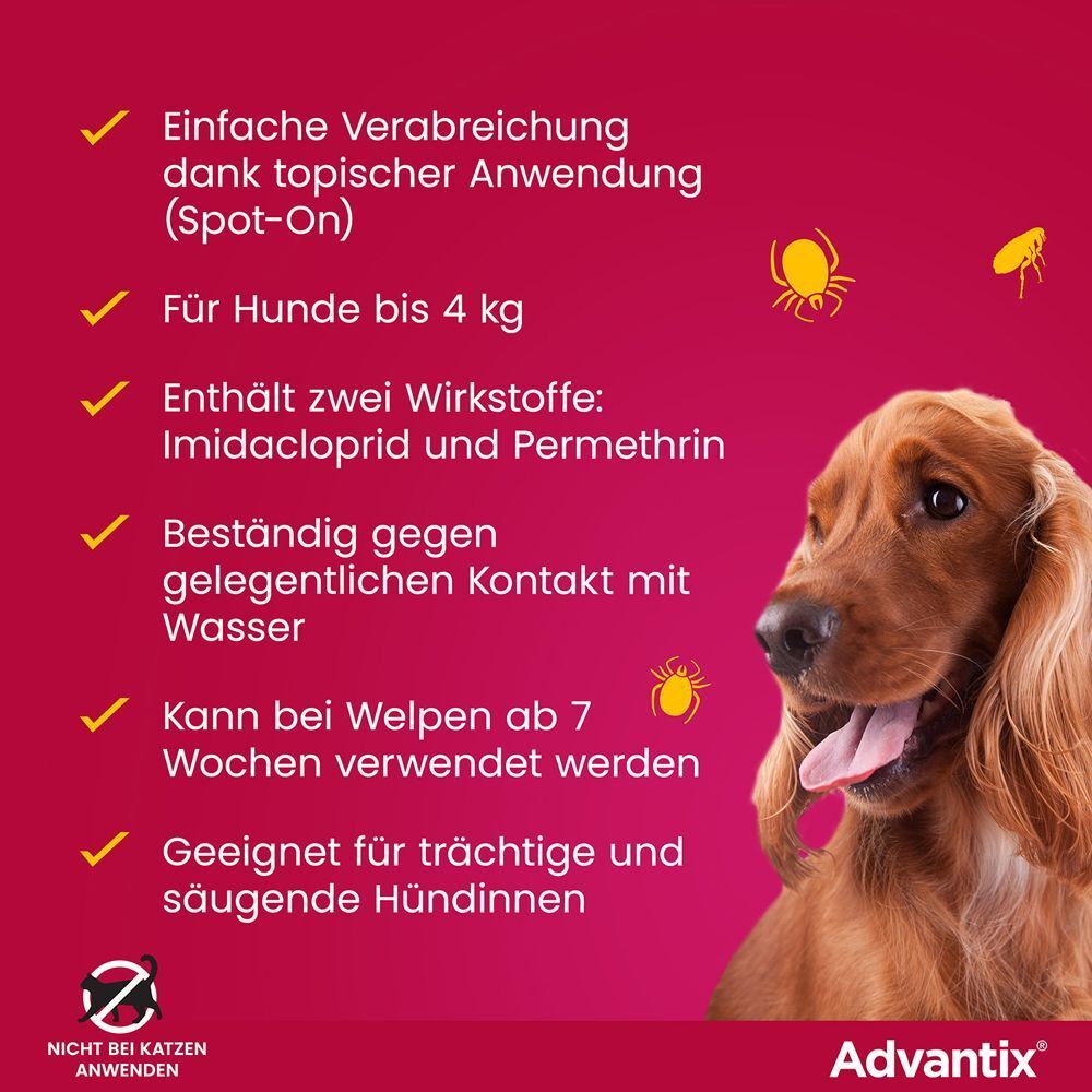 Infografik: Einfache Anwendung, für Hunde bis 4 kg. Enthält Wirkstoffe. Beständig gegen Wasser. Für Welpen ab 7 Wochen. Trächtige Hündinnen.