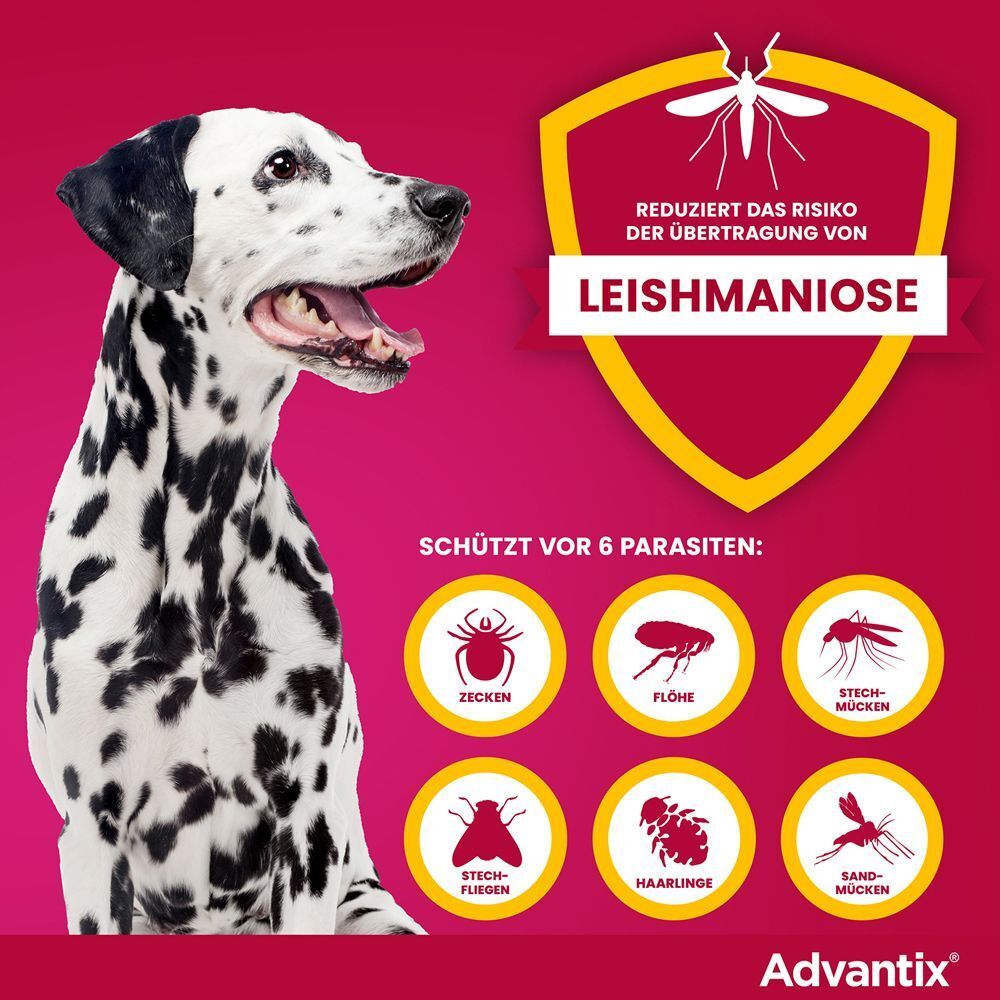 Dalmatiner neben Grafik. Grafik: Schild mit Text: Reduziert das Risiko der Übertragung von Leishmaniose. 6 Parasiten-Icons.