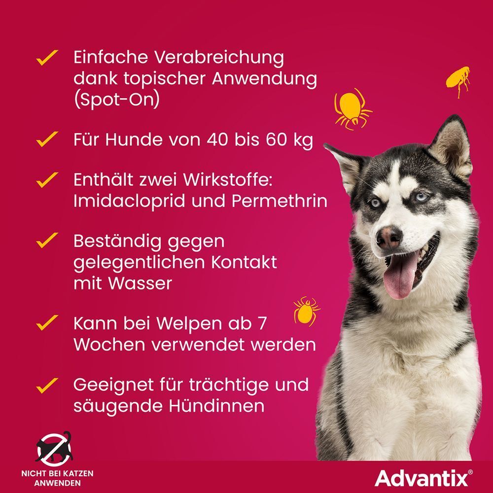 Hund neben Text. Text: Einfache Verabreichung, für Hunde von 40 bis 60 kg, enthält Wirkstoffe, beständig gegen Wasser, für Welpen ab 7 Wochen.