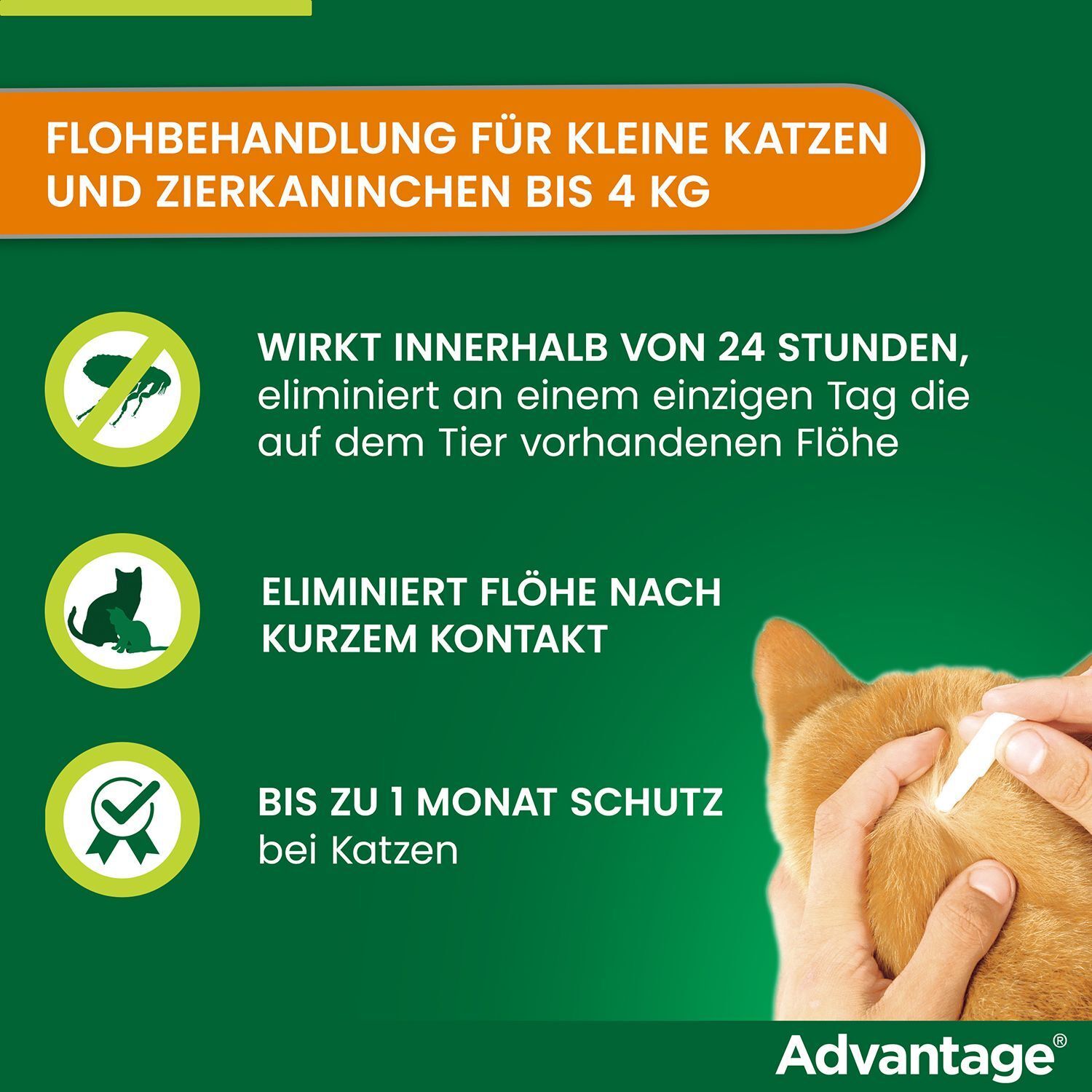 Advantage-Produkt. Text: Flohbehandlung für kleine Katzen und Zierkaninchen bis 4 kg. Illustrationen.