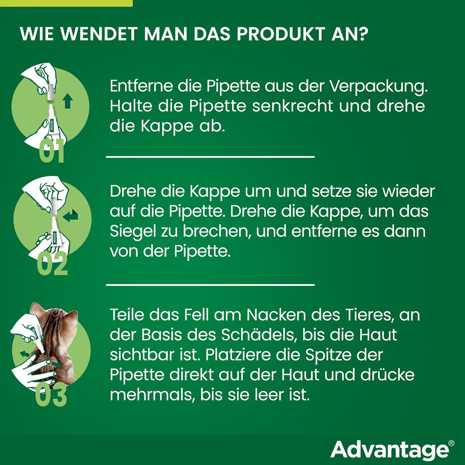 Anwendung des Advantage-Produkts. Illustrationen zeigen die Anwendungsschritte. Text in deutscher Sprache.