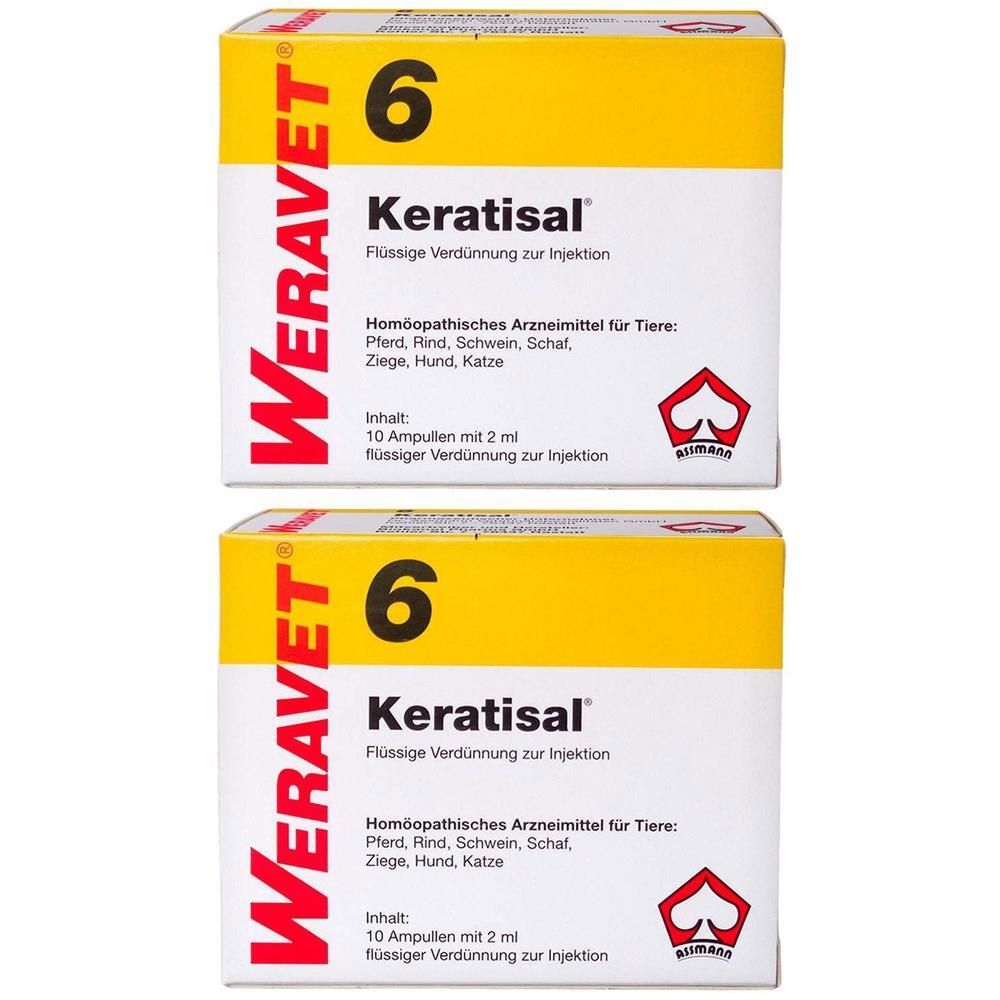 Keratisal 6 Ampullen vet. 2x 2x10x2 ml