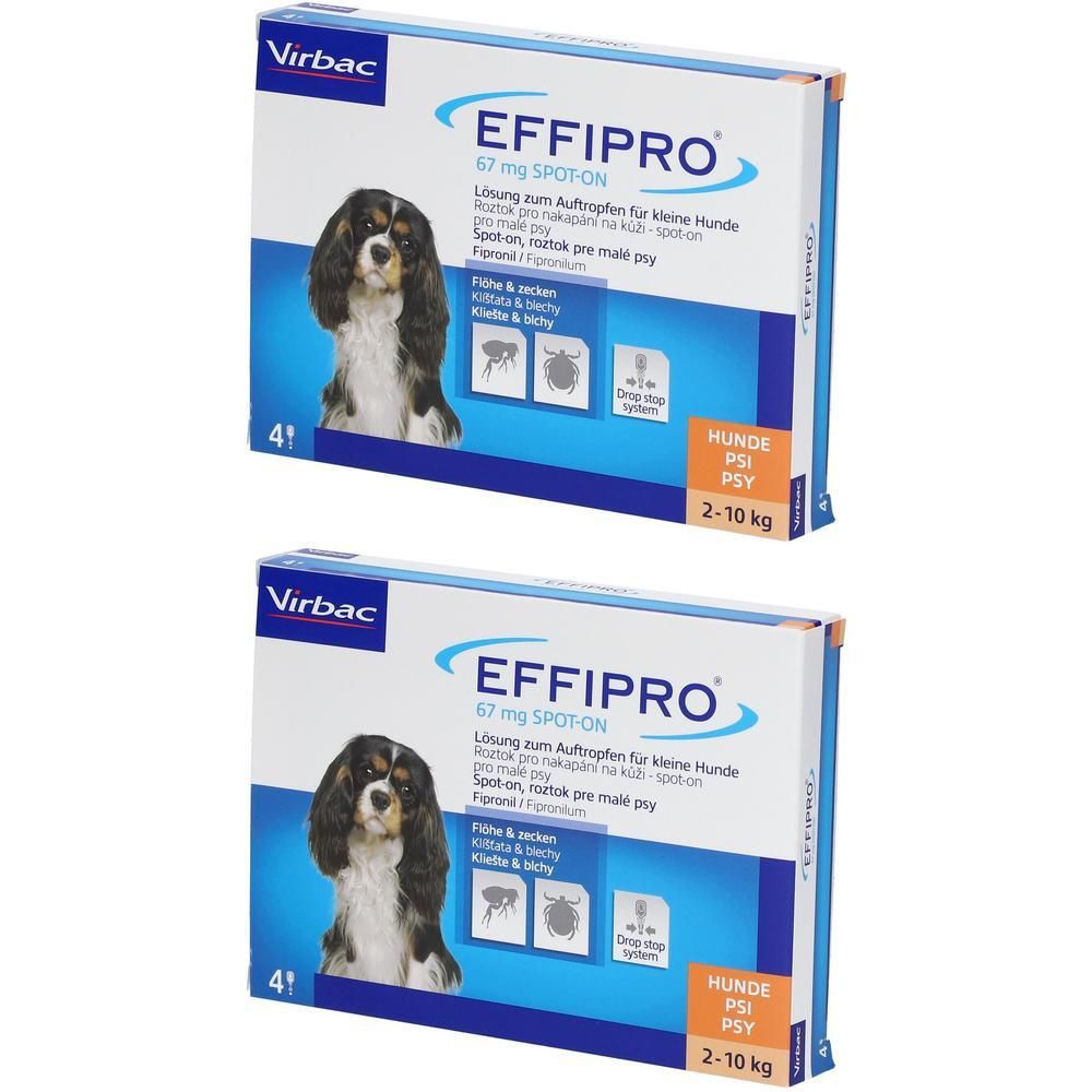 Effipro 67 mg Pip.Lsg.z.Auftropf.f.kl.Hunde 2x 2x4 St Lösung