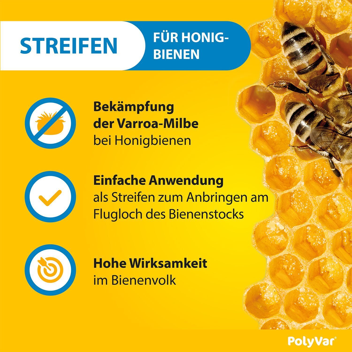 Grafik: Bekämpfung der Varroa-Milbe bei Honigbienen. Einfache Anwendung als Streifen. Hohe Wirksamkeit im Bienenvolk.