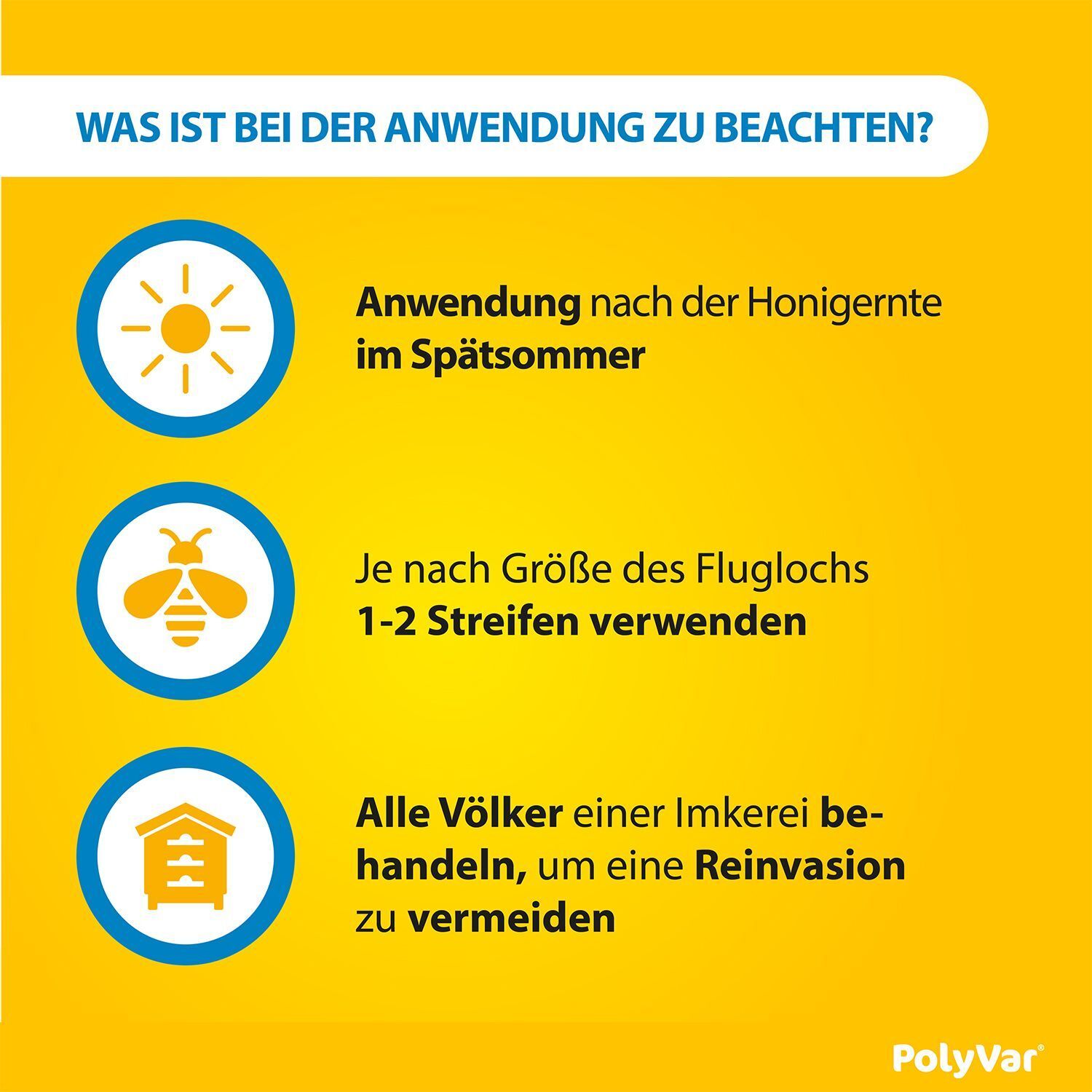 Grafik: Anwendung nach der Honigernte im Spätsommer. 1-2 Streifen verwenden. Alle Völker behandeln. Polyvar Logo.