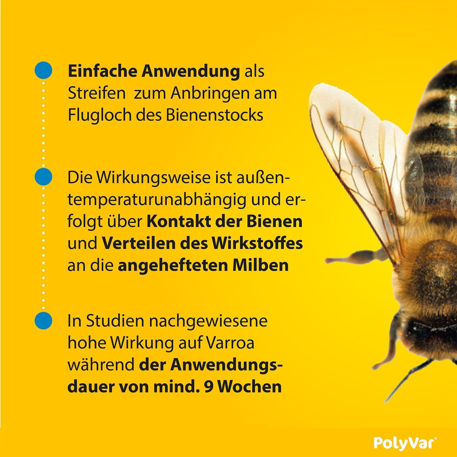 Grafik: Einfache Anwendung als Streifen. Wirkungsweise temperaturunabhängig. Hohe Wirkung auf Varroa. Polyvar Logo.