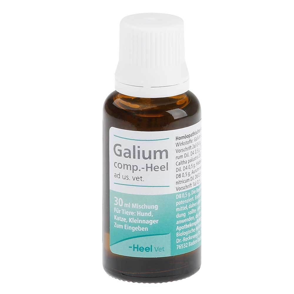 Braune Glasflasche mit weißem Deckel. Aufschrift: Galium comp.-Heel ad us. vet. 30 ml Mischung für Tiere. Heel Vet Logo.