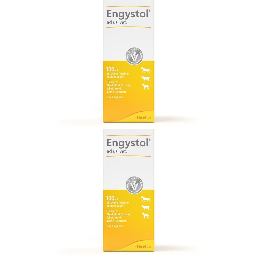 Zwei Packungen mit weißer Schrift und gelbem Feld. Aufschrift: Engystol ad us. vet. 100 ml.