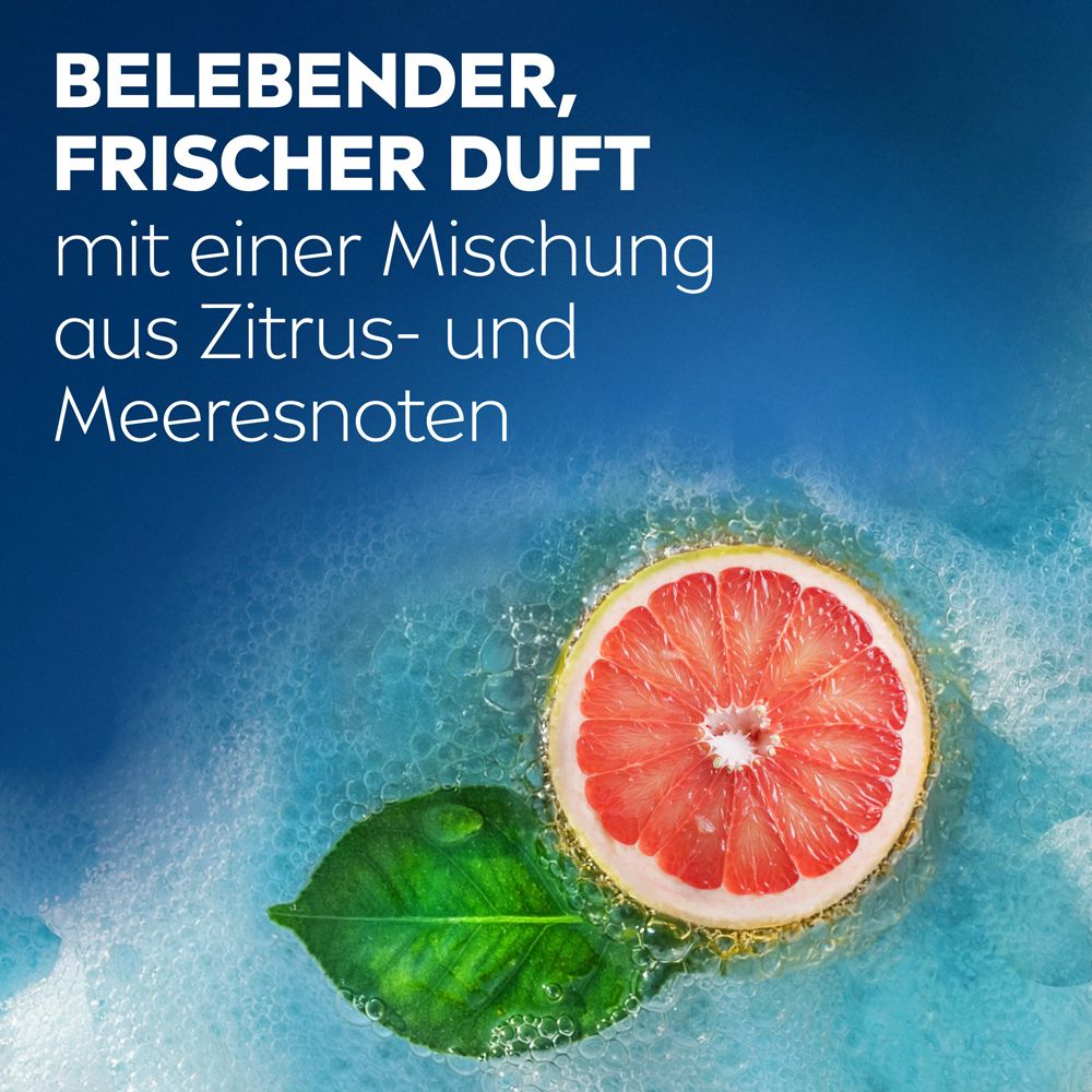 Grapefruit-Scheibe und Blatt in sprudelndem Wasser.