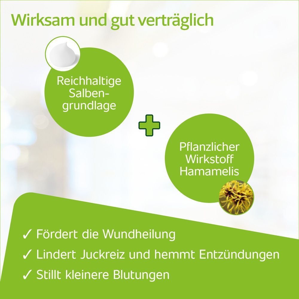 Hametum Salbe: Reichhaltige Salbengrundlage und pflanzlicher Wirkstoff Hamamelis.