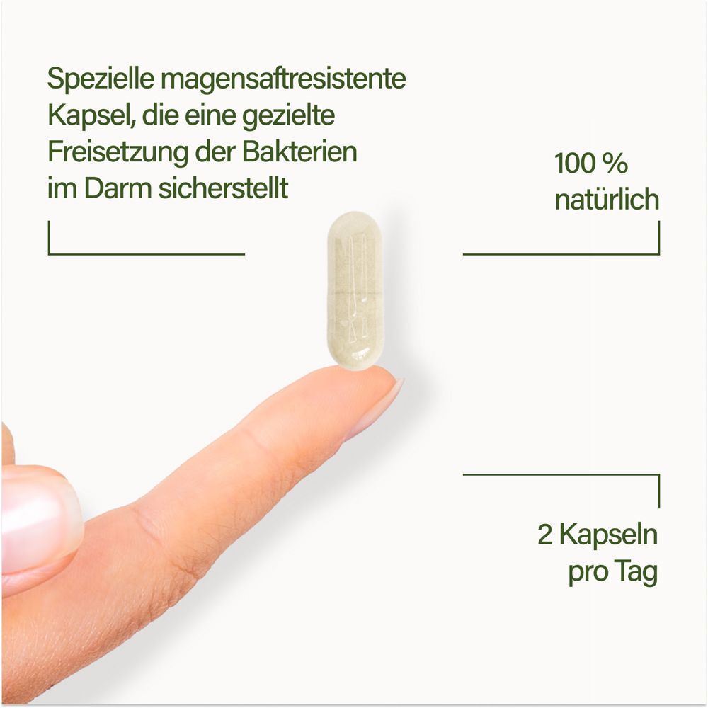 Magensaftresistente Kapsel für gezielte Freisetzung im Darm. 100% natürlich.