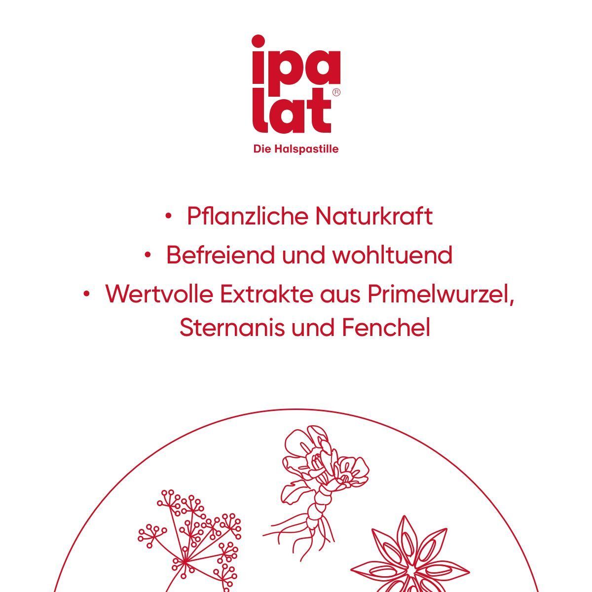 ipalat® Logo und Stichpunkte: Pflanzliche Naturkraft, befreiend, Extrakte aus Primel, Anis, Fenchel.