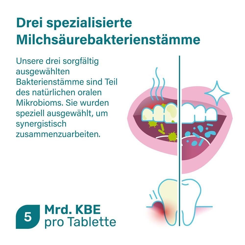 Illustration von Zähnen und Mund, die die Wirkung von 3 Milchsäurebakterienstämmen zeigt.