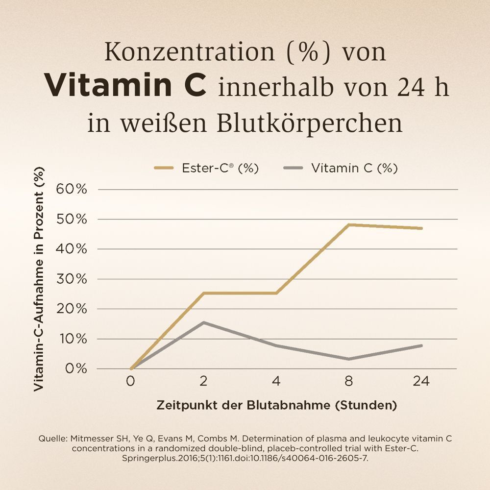Grafik zeigt höhere Vitamin C-Konzentration von Ester-C Plus über 24 Stunden.