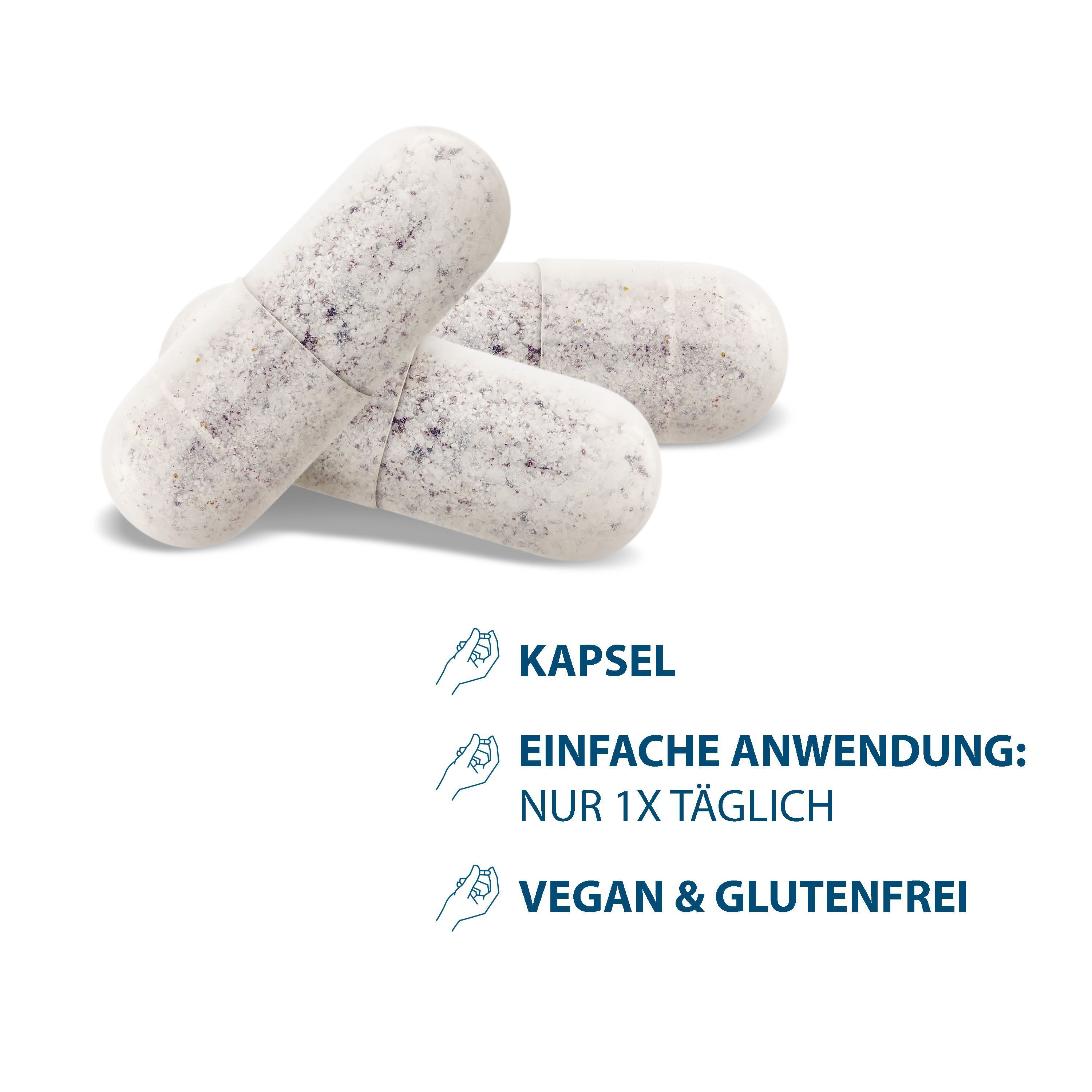Zwei Kapseln, einfache Anwendung: nur 1x täglich. Vegan & glutenfrei.