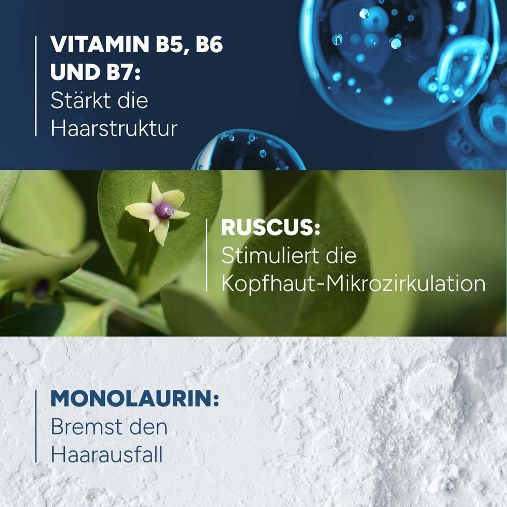 Grafiken zeigen Vitamine B5, B6, B7, Ruscus und Monolaurin für das Haar.