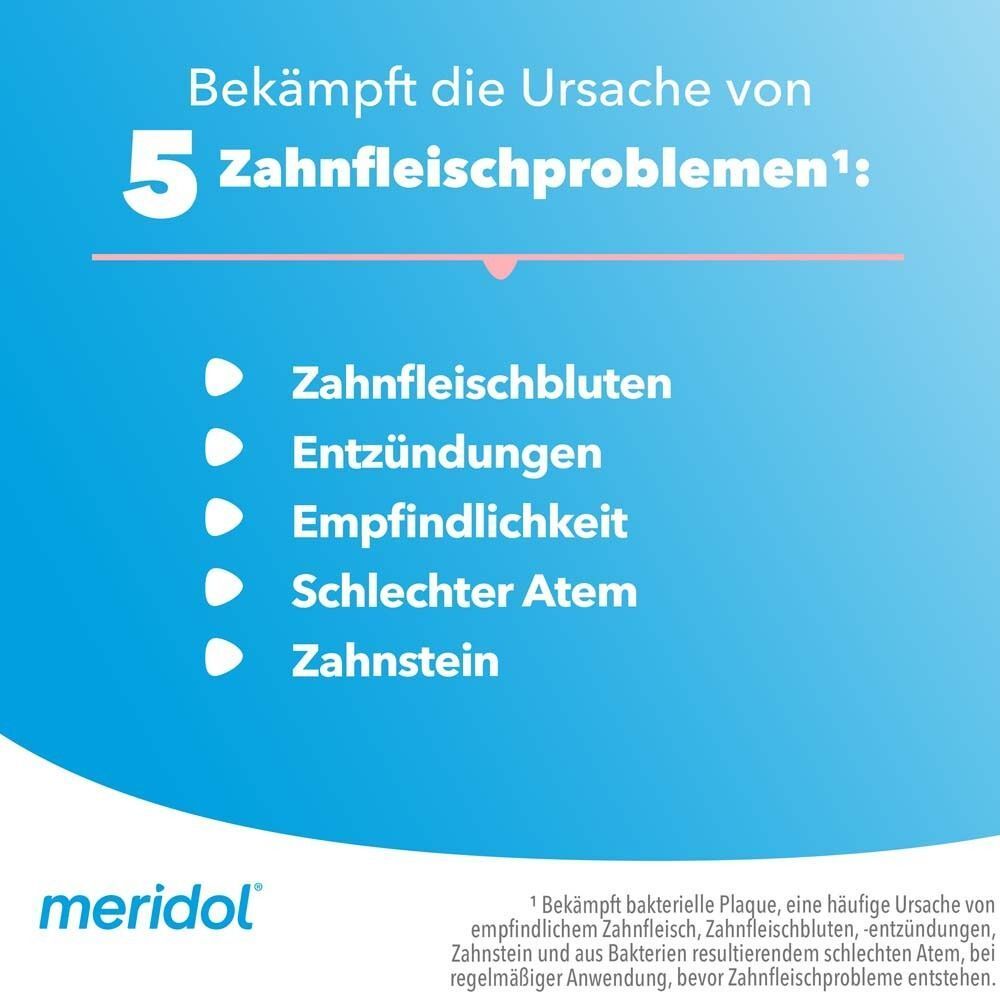 Grafik mit fünf Punkten, die Zahnfleischprobleme auflisten: Zahnfleischbluten, Entzündungen, Empfindlichkeit, schlechter Atem, Zahnstein.