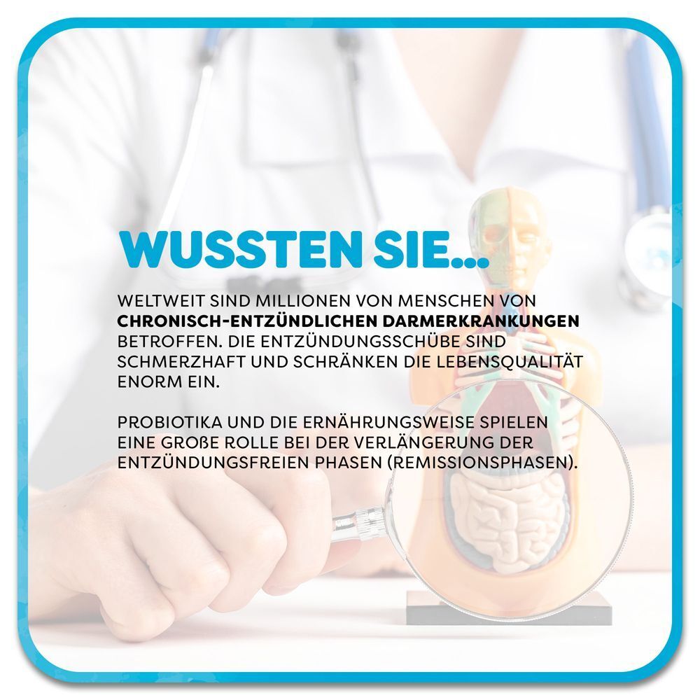 Grafik mit menschlichem Darmmodell und Lupe, die auf chronisch-entzündliche Darmerkrankungen und die Rolle von Probiotika hinweist.