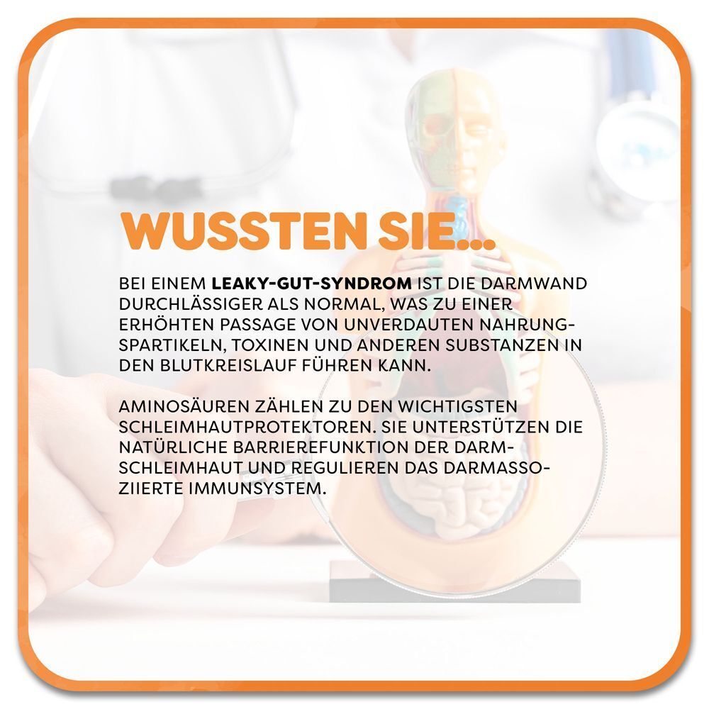Leaky-Gut-Syndrom: Aminosäuren unterstützen Darmbarriere und Immunsystem.