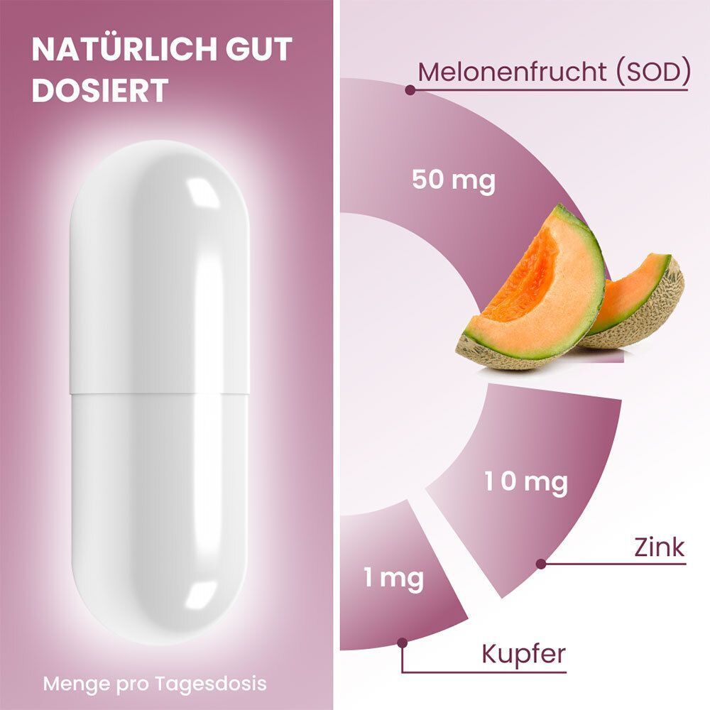 Große Kapsel, Grafik mit Melone, Zink, Kupfer und Dosierung.