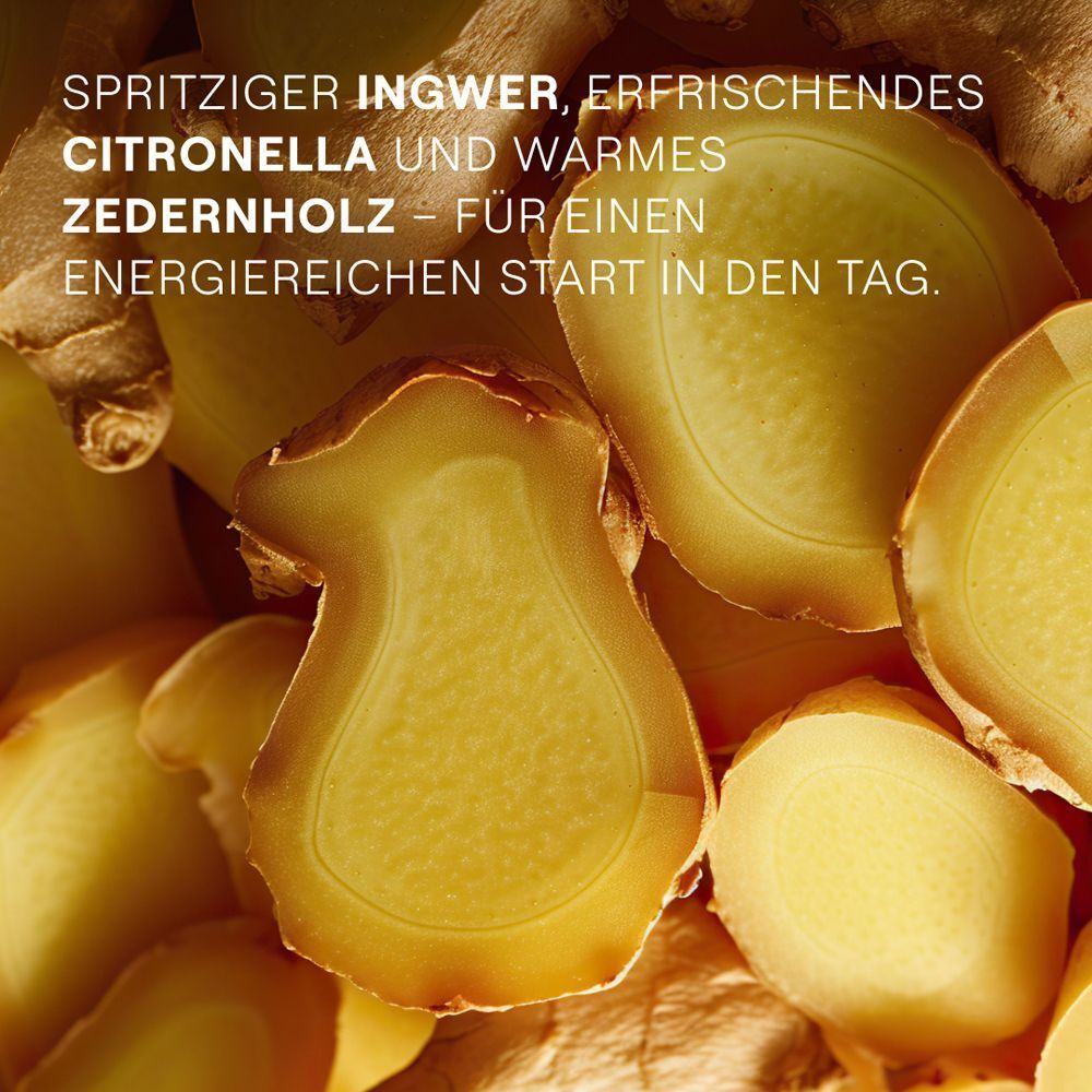 Nahaufnahme von Ingwerscheiben und Ingwerwurzel, mit Text über Duftnoten.