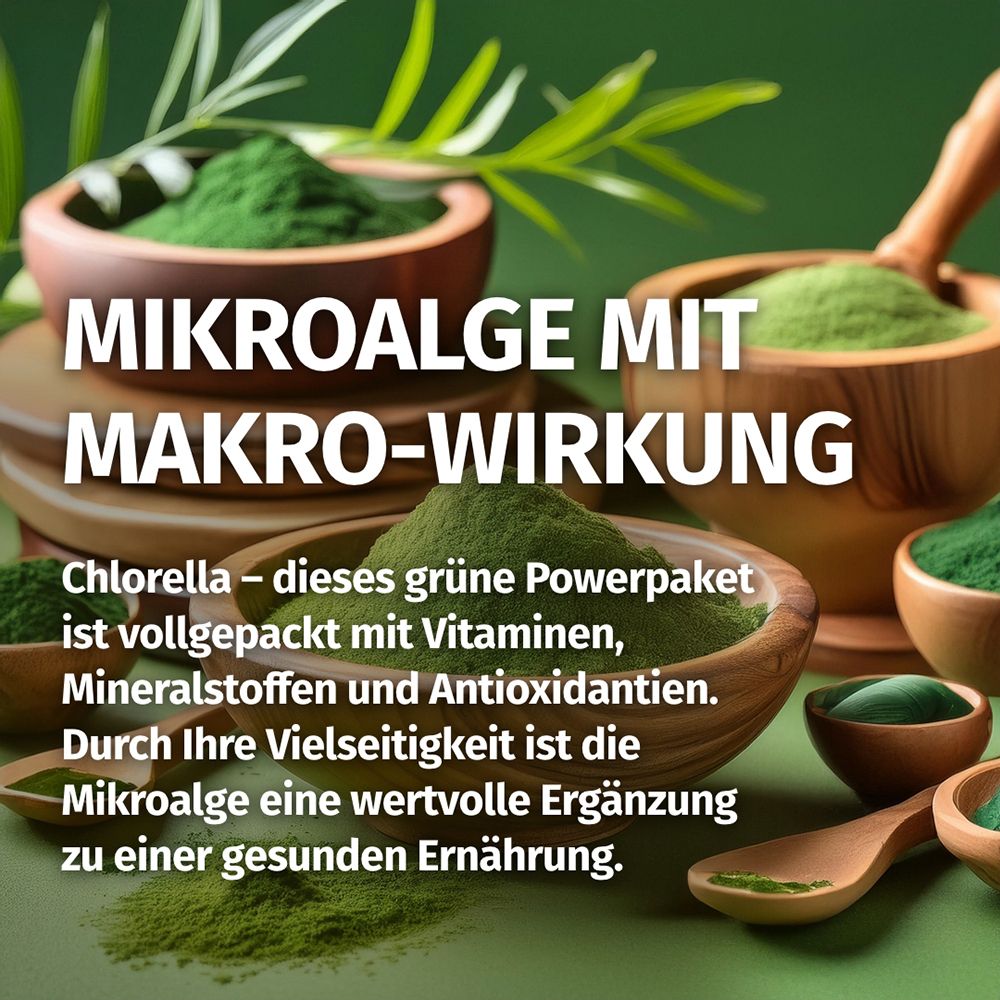 Grünes Pulver aus Mikroalgen in Holzschalen, 'Mikroalge mit Makro-Wirkung' Chlorella.