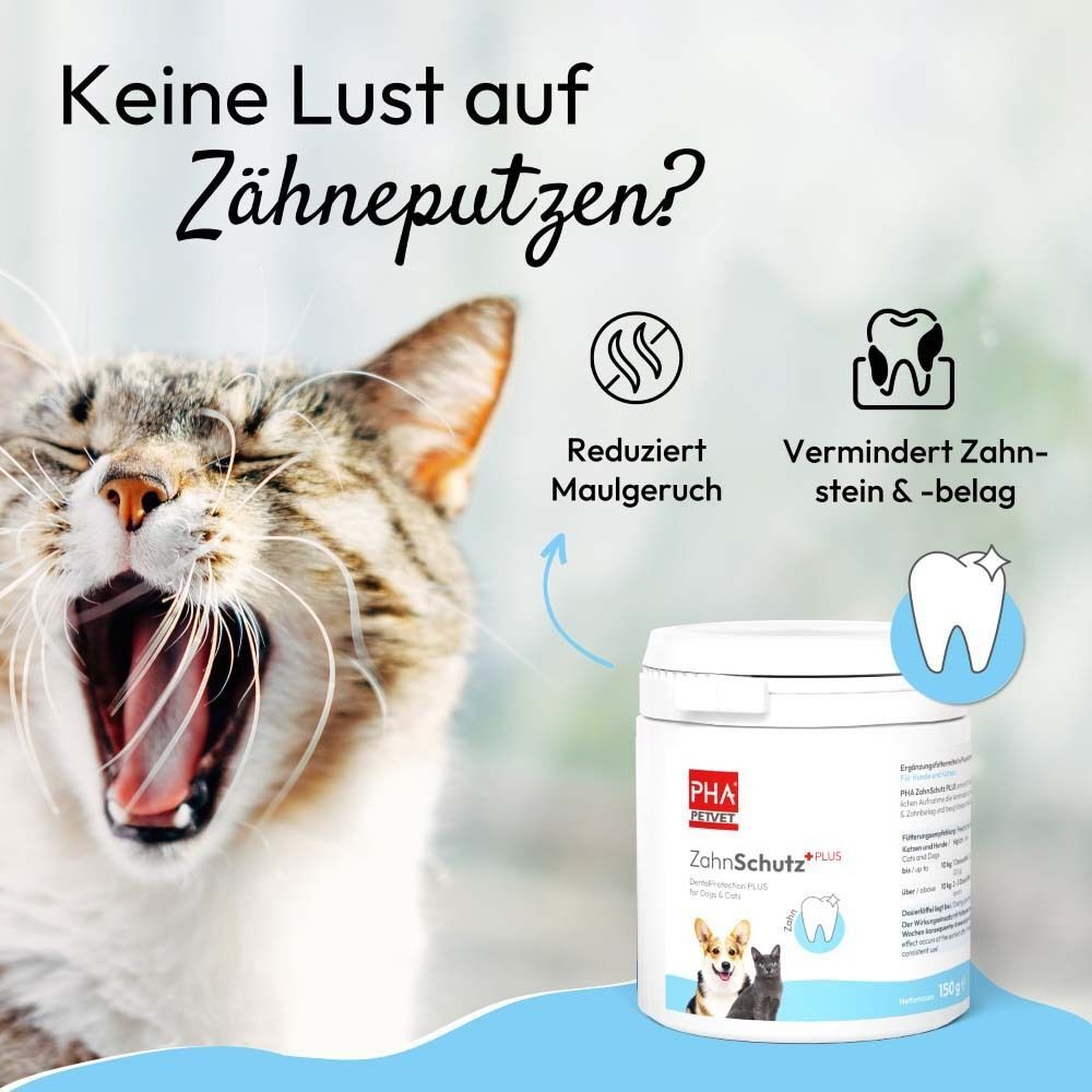 Gähnende Katze neben einem Behälter PHA ZahnSchutz PLUS Pulver mit Symbolen für Mundgeruch und Zahnstein.