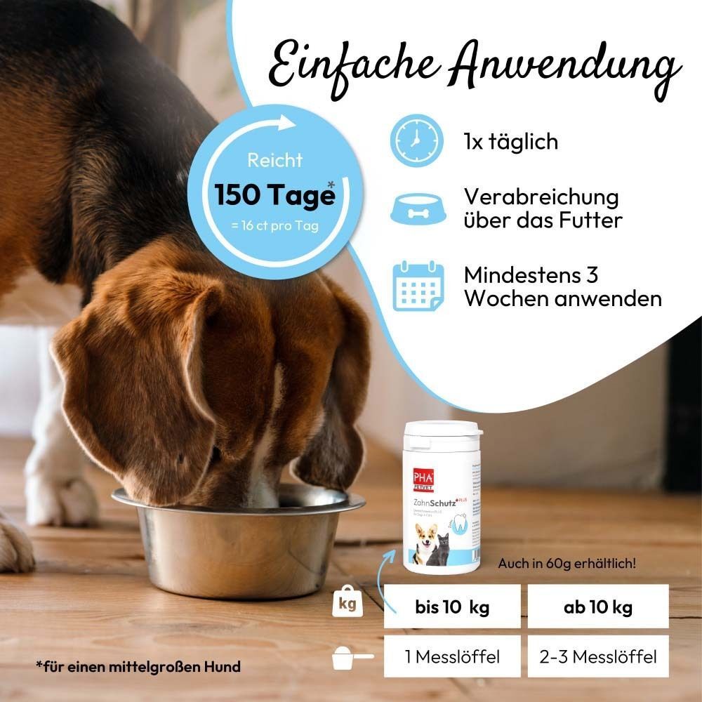 Hund frisst aus einem Napf, daneben ein Behälter PHA ZahnSchutz PLUS Pulver und Anwendungshinweise.